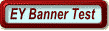 EY Banner Test